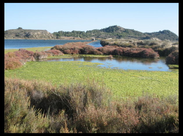 peyriac marais salants