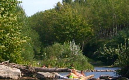 baignade dans la Cesse